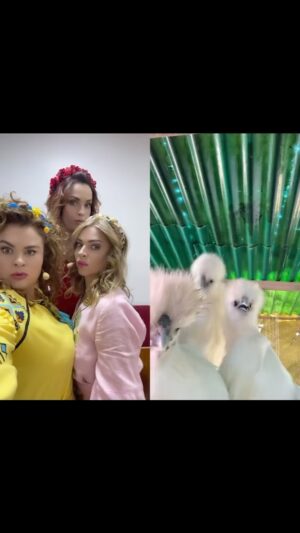 Viktoriia Bulitko Instagram - А курочки продовжують покоряти всесвіт 🤗🤭