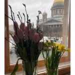 Viktoriya Isakova Instagram - Цветы хочется забрать с собой, какие то очень весенние и очень красивые! Спасибо за них 😘😘 Исаакий придётся оставить , но хочется почаще приезжать его проведывать))) А мы планируем вернуться в Санкт-Петербург осенью с «Костиком». Надеюсь всё случится. Сегодня ещё один спектакль и домой. #питерялюблютебя @teatrpushkin
