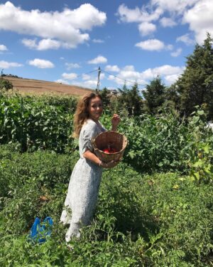 Vildan Atasever Instagram - Hasat zamanı #🍅#🍉#anneminbahcesi #fevzibabanınçiftliği