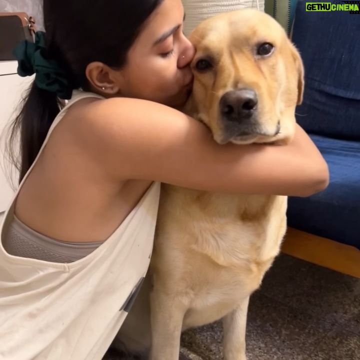 Vinsu Rachel Sam - 12.3K Likes - Doggo-stealer 🐶
.
.
#dogstagram #unconditional #iwillstealyourdog