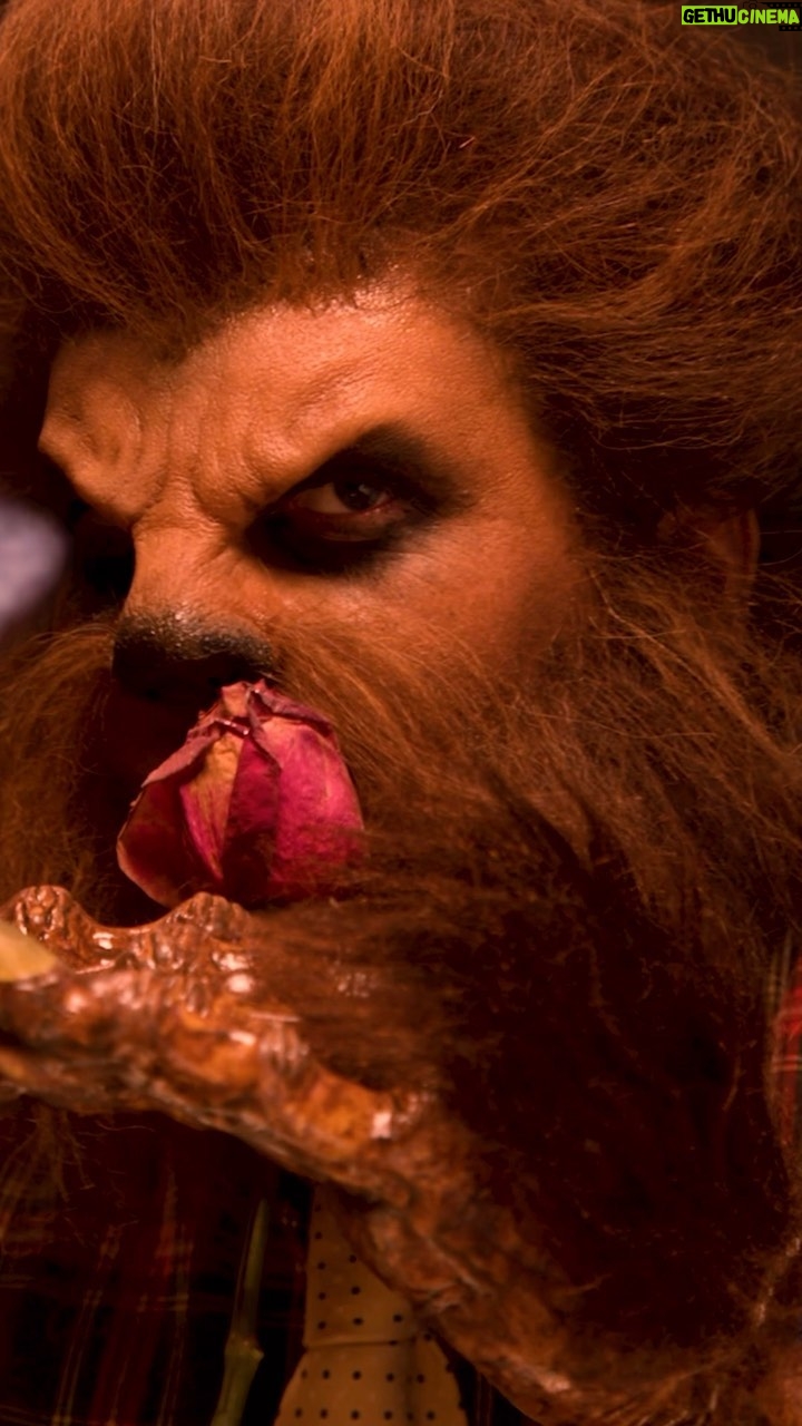 Violett Beane Instagram - 🐺✨ New Directing Work ✨🐺 Chivalry is Dead music video out nowwwww. Just in time for spooky season. Link in bio! Thank you @jessebarrera and @albertposis for trusting me with this :) what a ride! Director/Producer: yours truly DP: @tomgault Editor: @colton_stock Steadicam: @pavelpoboruev AD: @xtinaburdette Gaffer: @petergeoffrey AC: @angelrod_films HMU Key: @angela.k.neff HMU Asst: @makeupbyshannonmarie BTS: @_j9photography Female lead: @angelazhou Beast: @jazzy__jelly
