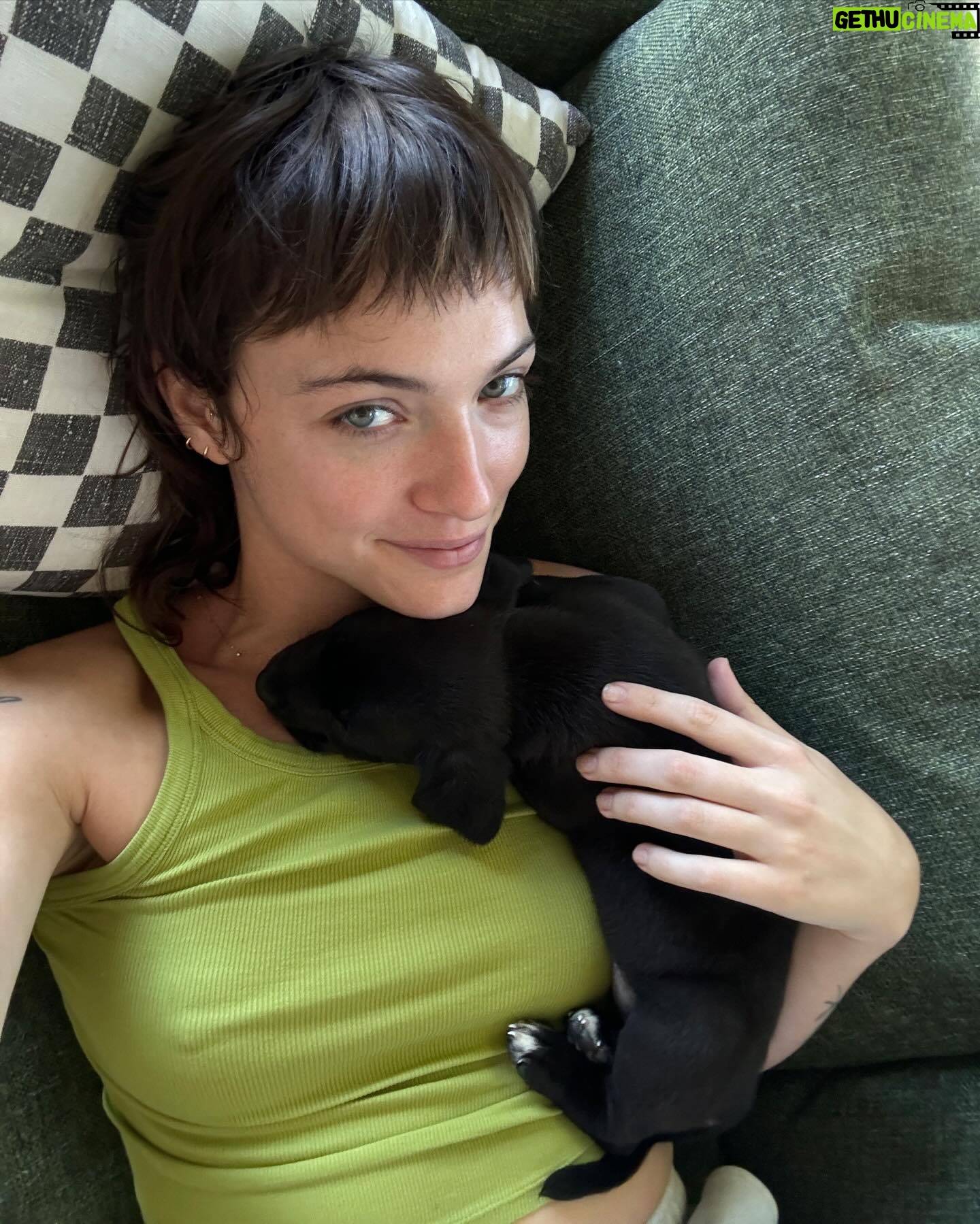 Violett Beane Instagram - A lil scroll for ya
