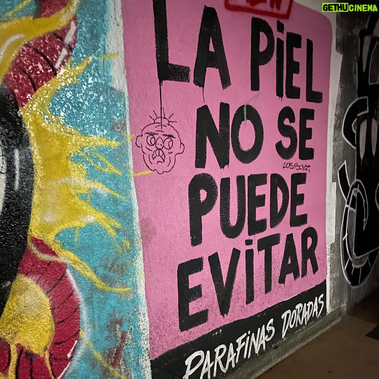Virginia Da Cunha Instagram - Be yourself So the people looking for you Can find you Ya en mi hogar en los Andes, les comparto un álbum de una semana monumental en Buenos Aires. Y les deseo se reencuentren con ustedes mismos, para que el corazón les abra todos los caminos. Goodnight!!