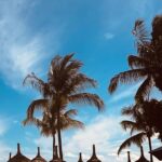 Virginie Efira Instagram - Maurice forever and ever 🇲🇺☀️🏝️ Best place ❤️ @heritage_letelfair