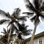 Virginie Efira Instagram - Maurice forever and ever 🇲🇺☀️🏝️ Best place ❤️ @heritage_letelfair