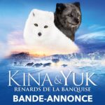 Virginie Efira Instagram - #KinaEtYuk un conte à voir en famille dès mercredi prochain au cinéma ! 🦊✨