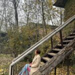 Vishavpreet Kaur Instagram - #kashmirinfall 🍁🍂