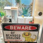 Vivien Lyra Blair Instagram - My #beardeddragon hanging a new sign in his apartment 🦎
