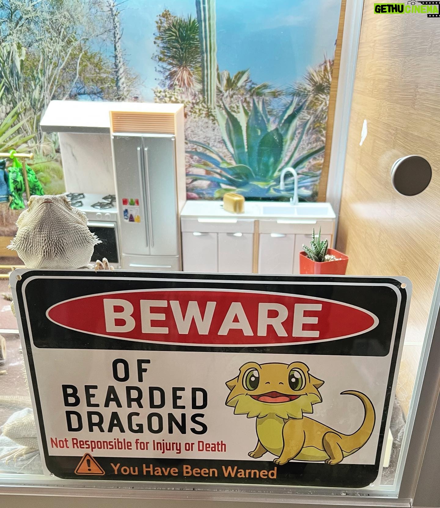 Vivien Lyra Blair Instagram - My #beardeddragon hanging a new sign in his apartment 🦎