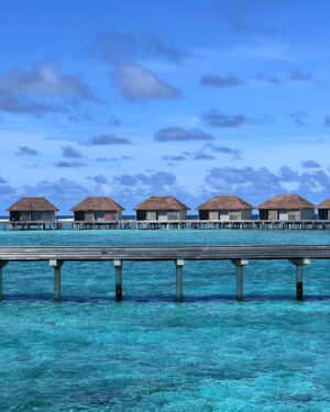 Wafa El Mejjad Instagram - 🇲🇻