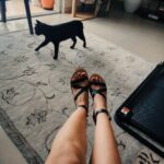 Wafa Khadeeja Rahman Instagram - You've been dumped 📷 #photodump #homemademeals #tacotuesday #ootd #fashion #styling