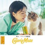 Wakana Matsumoto Instagram - . . この度 . 大塚製薬 『カロリーメイト リキッド』 「吾輩は栄養である・春」編 に出演させていただきました！！ . . みなさんにもリキッドの手軽さ、美味しさを是非楽しんでいただきたいです！ ちなみに 私の一番好きなフレーバーは、、 . . 次回の投稿で発表します☺️