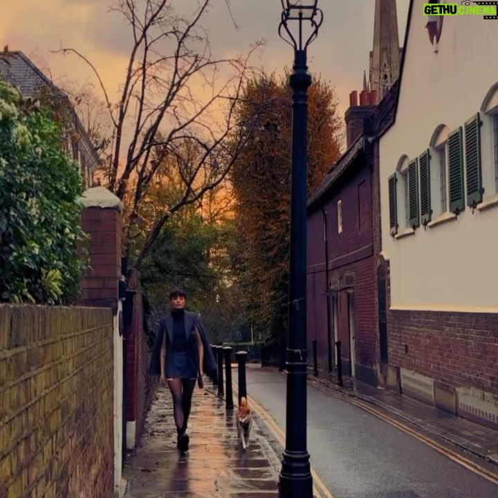 Wallis Day - 4K Likes - A little slice of November 🥧
Swipe to the end for a sweet surprise 🎁