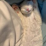 Wan Peng Instagram - 是三岁啊