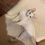 Wan Peng Instagram - 模糊的我与三岁