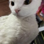 Wan Peng Instagram - 是三岁啊