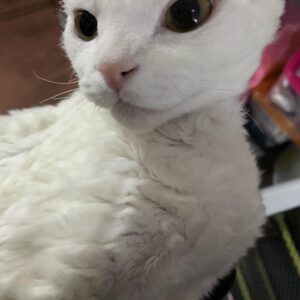 Wan Peng Instagram - 是三岁啊