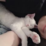 Wan Peng Instagram - 是三岁啊