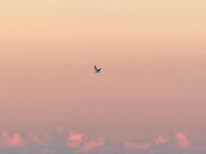 Wan Peng Instagram - Sunset again🌇🧡💛