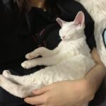 Wan Peng Instagram - 是三岁啊