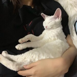 Wan Peng Instagram - 是三岁啊