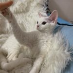 Wan Peng Instagram - 是三岁啊