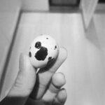 Wang Luodan Instagram - 俺——蠢蛋