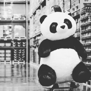 Wang Luodan Instagram - 