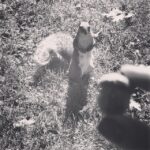 Wang Luodan Instagram – 到底给不给我～哼
