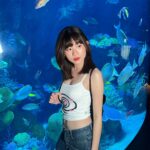 Warisara Jitpreedasakul Instagram - Under the seaaaaaa 🧜🏻‍♀️! took by @taklongkukkik @irinning