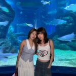 Warisara Jitpreedasakul Instagram - Under the seaaaaaa 🧜🏻‍♀️! took by @taklongkukkik @irinning