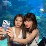 Warisara Jitpreedasakul Instagram - Under the seaaaaaa 🧜🏻‍♀️! took by @taklongkukkik @irinning