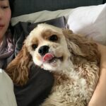 Warisara Yu Instagram - HELLO~~ my name is Destiny but u can call me DESTY!! 🐶🐾