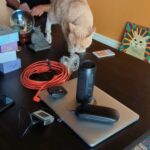 Wendi McLendon-Covey Instagram - Photo session with Butters for a special campaign to be revealed later. The most stressful 40 minutes of everyone's life.