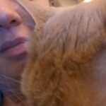 Wendi McLendon-Covey Instagram - Cats 'n' Such. Thanks to Tio @dferzaremba for assembling our new game-changing cat tower that everyone is allowed to play on except Butters. . . . #mylifeisveryexciting
