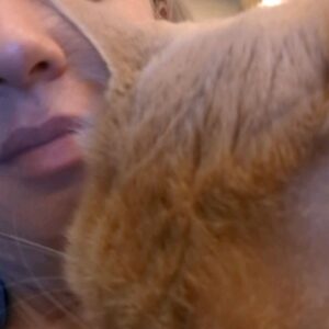 Wendi McLendon-Covey Instagram - Cats 'n' Such. Thanks to Tio @dferzaremba for assembling our new game-changing cat tower that everyone is allowed to play on except Butters.
.
.
.
#mylifeisveryexciting
