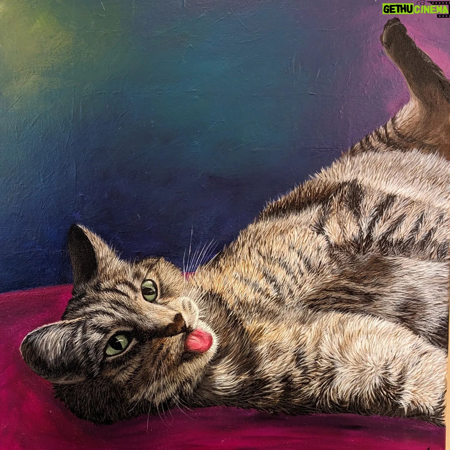 Wendi McLendon-Covey Instagram - We're having portraits painted of all the cats we've ever owned, and here's the latest one. Our sweet Carmen passed away in 2014. Thanks to @rabbitt_ranch for capturing her personality! . . . . #petportraitsofinstagram #petportraits #catsrule #soulcat