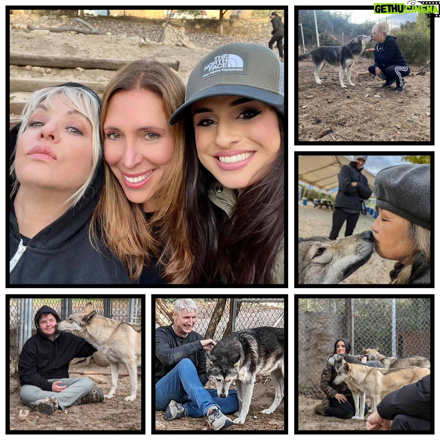 Wendi McLendon-Covey Instagram - Another fabulous Saturday at @wolfconnection! Thanks to the amazing staff for showing us such a great time. Such an honor to be part of your pack. 🐺