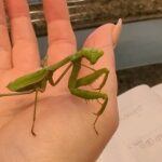 Wendi McLendon-Covey Instagram - Nature!!!!!