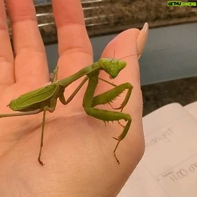 Wendi McLendon-Covey Instagram - Nature!!!!!