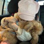 Weronika Rosati Instagram - Randomowy tygodniowy miszmasz😊 Zapraszam was dzisiaj od ok 20 ej do zadawania mi "miszmaszowych" pytań na stories - miłego weekendu!