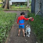 Westny Dj Instagram – A glimpse of a precious family time.. bener- bener refreshed and it feels so good to have that moment.. squad lengkap sampe ke polo 🐶 juga nimbrung ikutab refreshing😂
That definition of #familyhood .. i’m living it😍

#pregnant #pregnantbelly #momlife #6monthspregnant #26weekspregnant #hamil #bumil #family #staycation #happiness #keluarga #seru #fun #liburan #uluwatu #bali #theorigin