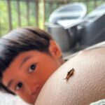 Westny Dj Instagram – I can’t believe kmu sebentar lagi jadi kakak Kaimano.. kmu yg makin dewasa keliatan bgt uda bisa se-care and sepengertian itu sama Gembil and Mamush😍
Can’t wait to see my boys grew up together🫶🏻 This will be another level of fun for your life Kaimano❤️
Gemesh bgt mamush tu sama kmu kaimano❤️

#cute #1stborn #son #anakpertama #mom2boys #mom #naturelife #nature #alamsemesta #fun #love #sayang