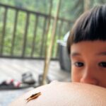 Westny Dj Instagram – I can’t believe kmu sebentar lagi jadi kakak Kaimano.. kmu yg makin dewasa keliatan bgt uda bisa se-care and sepengertian itu sama Gembil and Mamush😍
Can’t wait to see my boys grew up together🫶🏻 This will be another level of fun for your life Kaimano❤️
Gemesh bgt mamush tu sama kmu kaimano❤️

#cute #1stborn #son #anakpertama #mom2boys #mom #naturelife #nature #alamsemesta #fun #love #sayang