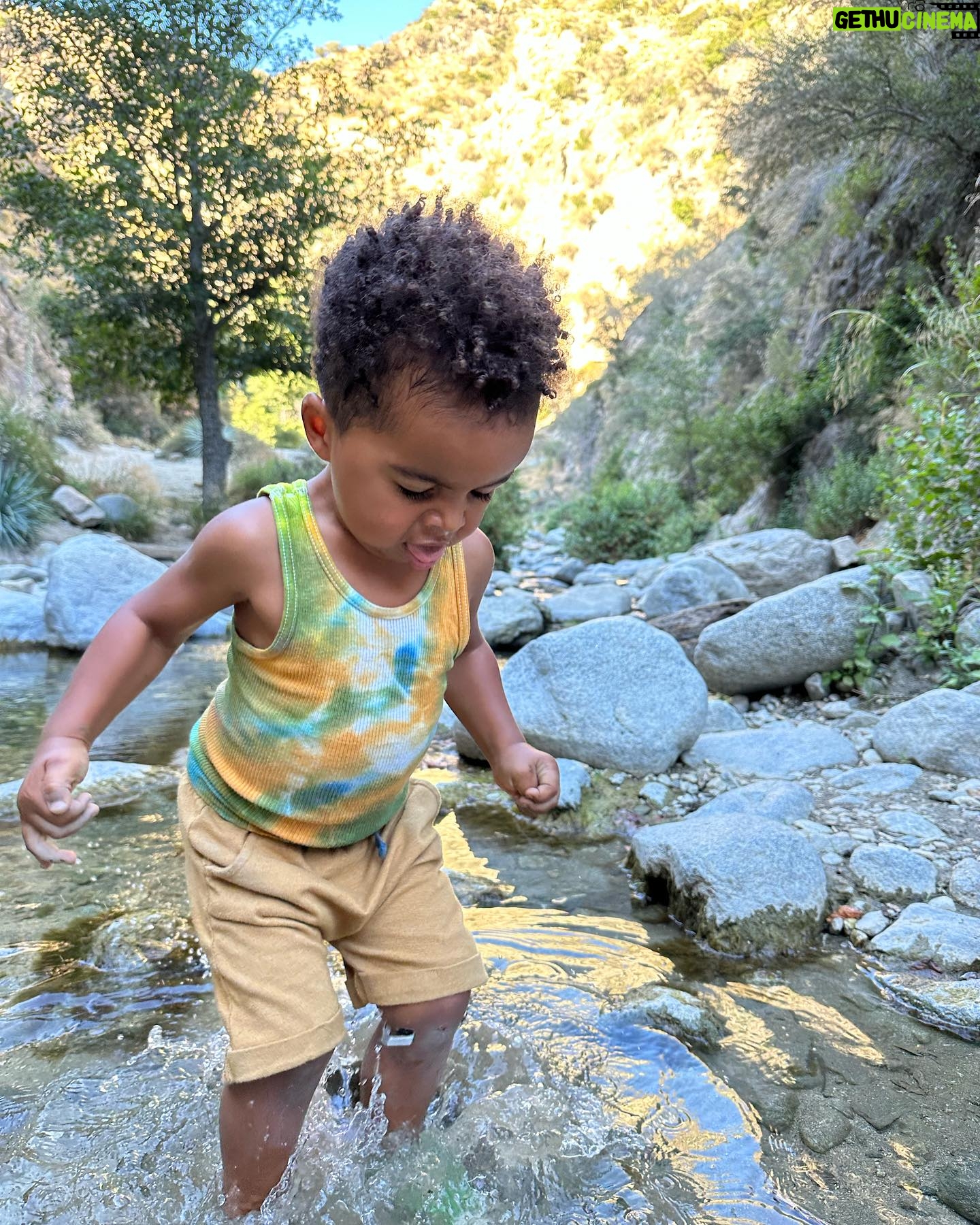 Whitney Mixter - 7K Likes - Nature 🌱is one of our most profound and necessary teachers where some of the best lessons truly are taught…here’s 8 ⛰️
1. There are endless things to explore in this life.
2. Trust your body and yourself…you are capable of so much.
3. Abundance is everywhere.
4. Mutual respect creates ultimate harmony.
5. Power exists in silence.
6. There are so many different experiences being had simultaneously all around us. Take time to try to understand some.
7. Adaptability leads to success.
8. We are supposed to have funnnn
Shoutout to this little man for being a built in study guide, crash course, and practical application all in one📚