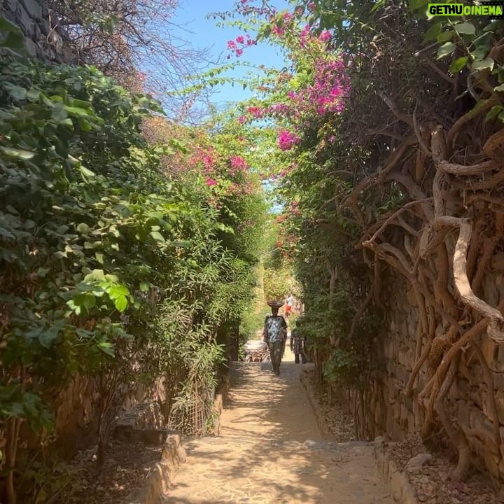 Whitney Peak Instagram - I was in Dakar a while ago - I am no longer in Dakar. But here are pictures I took while I was there.