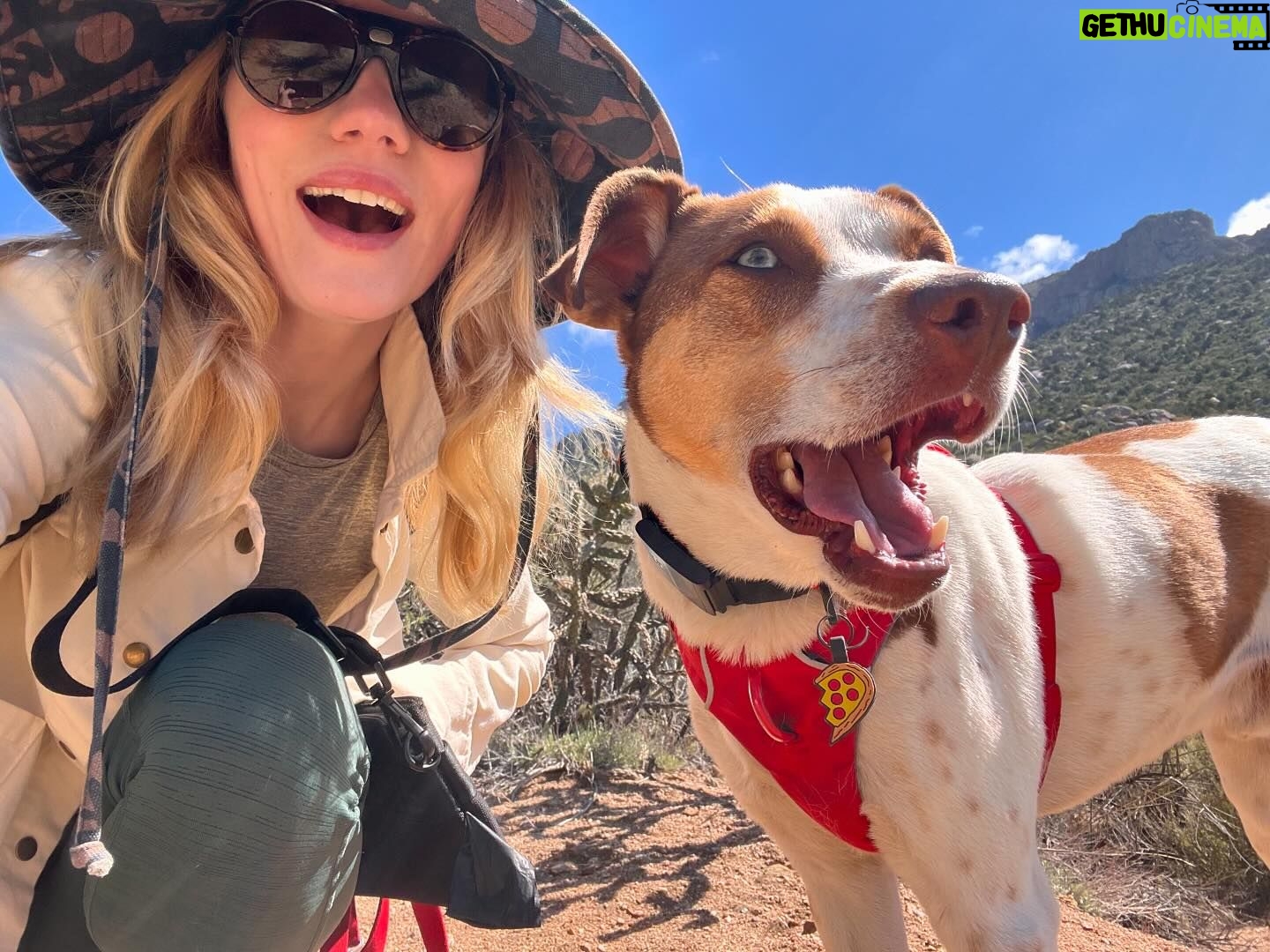 Willa Fitzgerald Instagram - We didn’t think we liked the desert. Turns out we do. (Minus duck who’s still iffy on sand between his toes while hiking.)