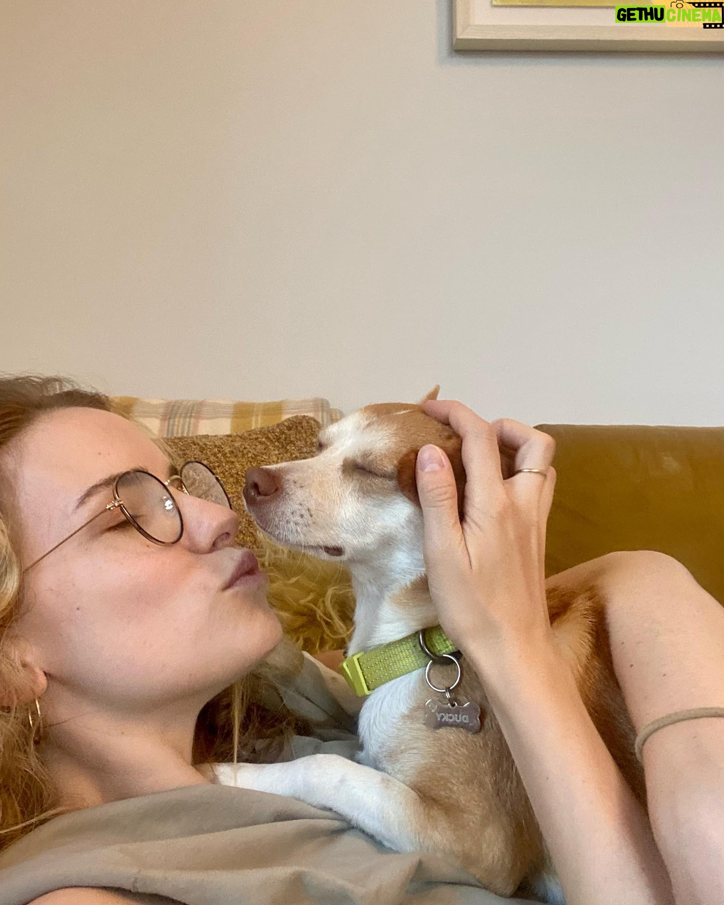 Willa Fitzgerald Instagram - Raging against the machine, reenergizing with dog kisses