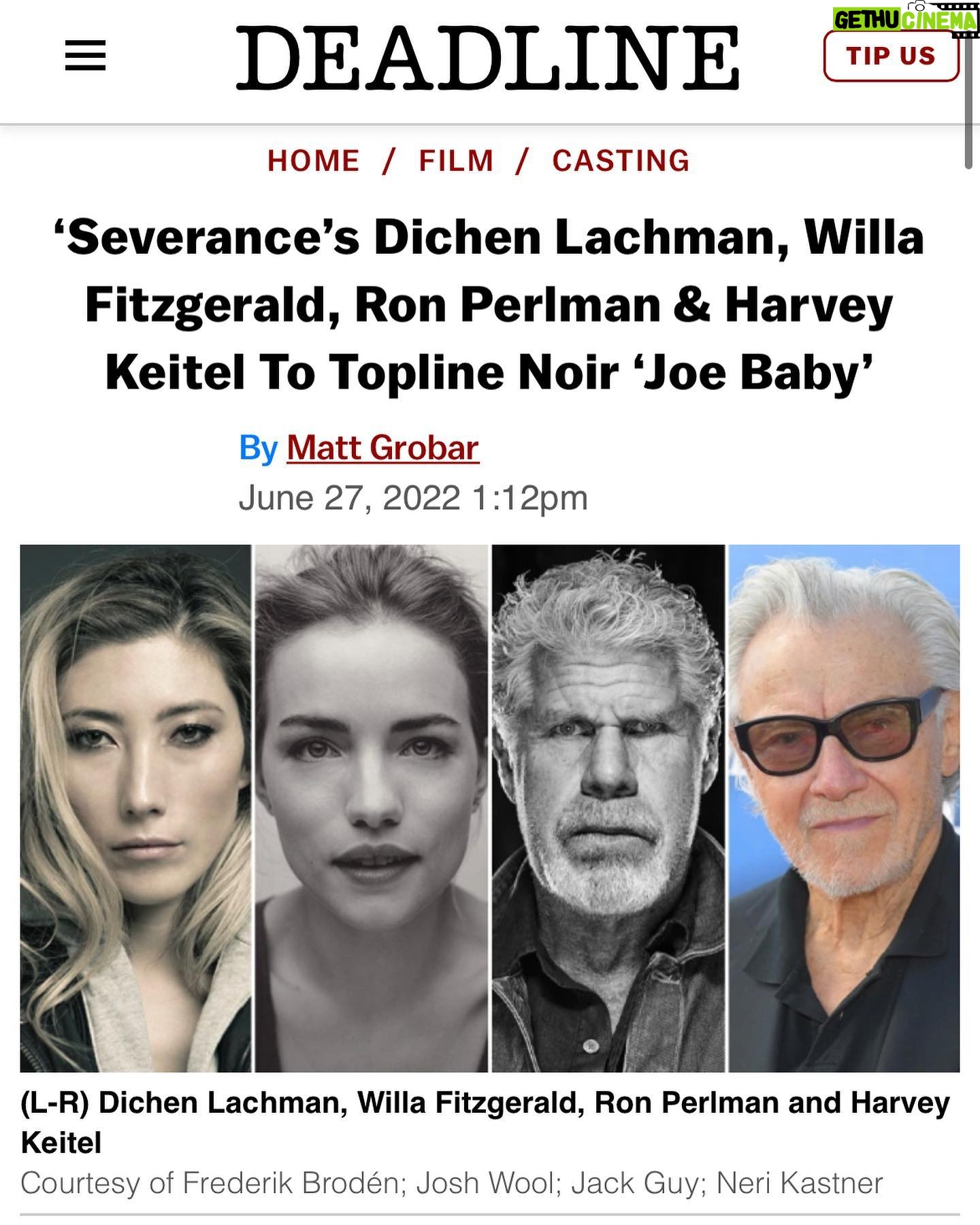 Willa Fitzgerald Instagram - Donate to an abortion fund. Right now. (Good options: WRRAP, Indigenous Women Rising, The Brigid Alliance)
