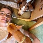 Willa Fitzgerald Instagram - 🐶 dog post 🐕 : Goose and Duck are best buds. Watching their interactions throughout the days, their nose bumps, their cuddles, their crazy games of bitey face, brings me an inordinate amount of joy. BUT having two dogs is no joke. Especially two young dogs. Their energy is considerable and it can quickly become a liability directly threatening the glass table in the living room. Place work and crate training have made a world of different in creating structure in these dudes life. Giving them a job, a place to go, a really good chew when things get a little too spicy is my go-to strategy for this little pup household. Thank you to @fablepets for the gorgeous crate that truly just looks like a piece of beautiful furniture in my living room. Both dogs are already big fans.